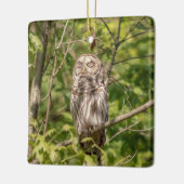 Sleepy Barred Owl Keramisch Ornament (Links)