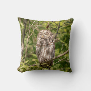 Sleepy Barred Owl Kussen