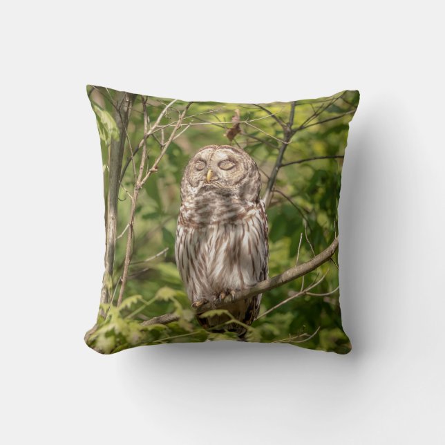 Sleepy Barred Owl Kussen (Voorkant)