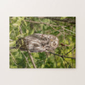 Sleepy Barred Owl Legpuzzel (Horizontaal)