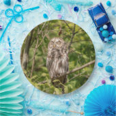 Sleepy Barred Owl Papieren Bordje (Feest)