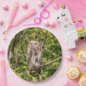 Sleepy Barred Owl Papieren Bordje (Feest)