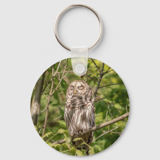 Sleepy Barred Owl Sleutelhanger (Voorkant)