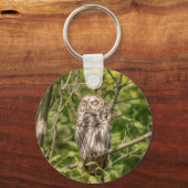 Sleepy Barred Owl Sleutelhanger (Voorkant)