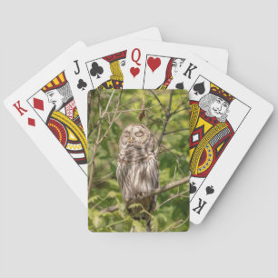 Sleepy Barred Owl Speelkaarten