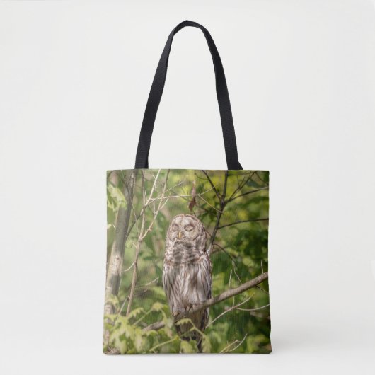 Sleepy Barred Owl Tote Bag (Voorkant)