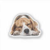 Sleepy Beagle Dog – Schattige Gezellig Pet Lover D Sticker (Voorkant)