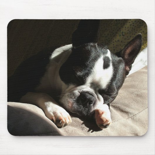 Sleepy Boston Muismat (Voorkant)