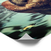 Sleepy Brown Mallard Duck Natuur Poster (Hoek)