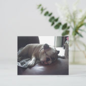 Sleepy bulldog briefkaart (Staand voorkant)