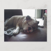 Sleepy bulldog briefkaart (Voorkant)