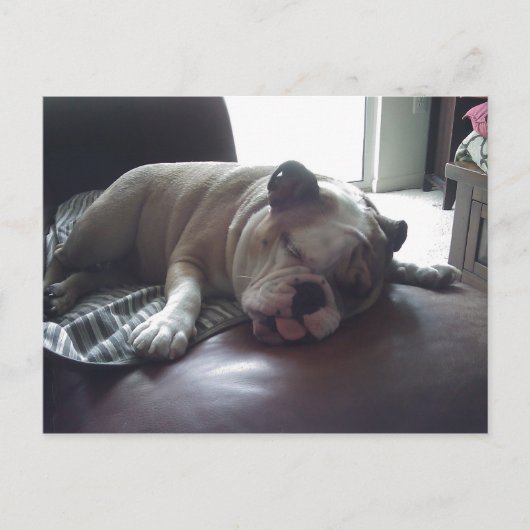 Sleepy bulldog briefkaart (Voorkant)