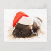 Sleepy Bulldog Puppy Kerstmis Briefkaart (Voorkant)