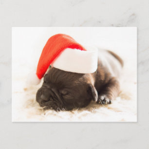 Sleepy Bulldog Puppy Kerstmis Briefkaart