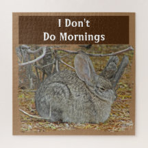 Sleepy Bunny Desert Hare Dislike Morning Rabbit