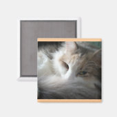 Sleepy Calico Magneet (Voorkant / Achterkant)