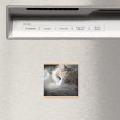 Sleepy Calico Magneet (Insitu (Vaatwasser))