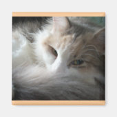 Sleepy Calico Magneet (Voorkant)