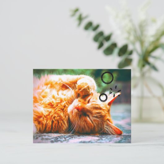 Sleepy Cat Briefkaart (Staand voorkant)