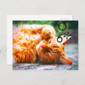 Sleepy Cat Briefkaart (Voorkant / Achterkant)