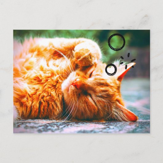 Sleepy Cat Briefkaart (Voorkant)