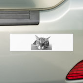 Sleepy Cat Bumpersticker (Op auto)