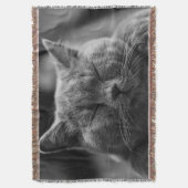 Sleepy Cat Face Photograpy Deken (Voorkant Verticaal)