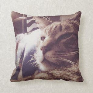 "Sleepy Cat"-foto Sierkussen