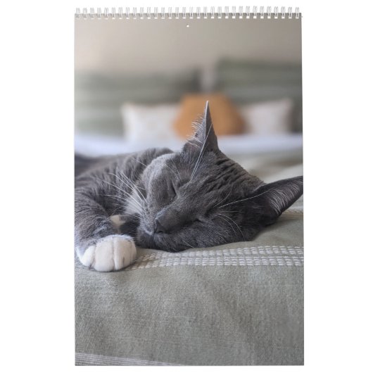 Sleepy Cat Kalender (Hoes)