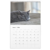 Sleepy Cat Kalender (Mar 2026)