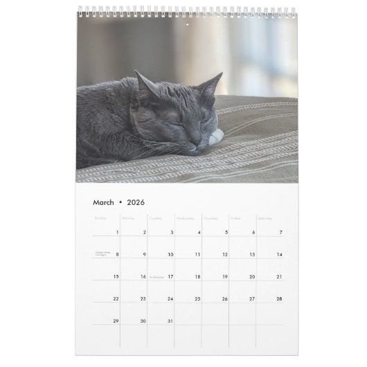 Sleepy Cat Kalender (Mar 2026)