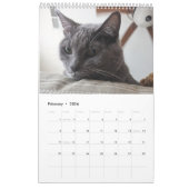 Sleepy Cat Kalender (Feb 2026)