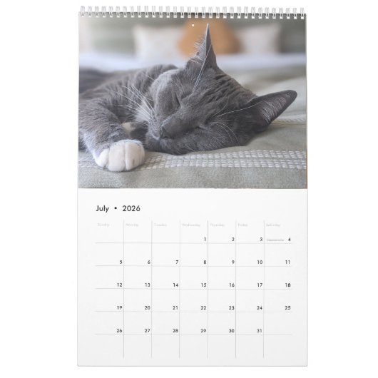 Sleepy Cat Kalender (Jul 2026)
