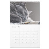 Sleepy Cat Kalender (Jan 2026)