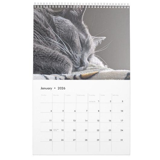 Sleepy Cat Kalender (Jan 2026)