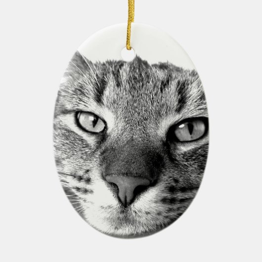 Sleepy Cat Keramisch Ornament (Voorkant)