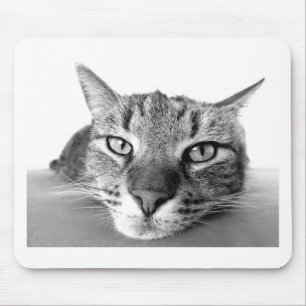 Sleepy Cat Muismat