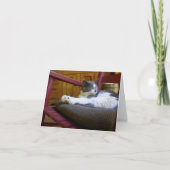 Sleepy Cat Note Kaart (Voorkant)