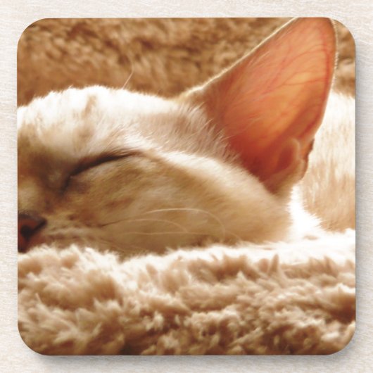 Sleepy Cat Onderzetter (Voorkant)