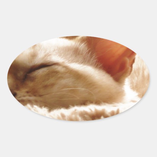 Sleepy Cat Ovale Sticker (Voorkant)
