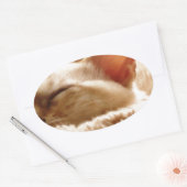 Sleepy Cat Ovale Sticker (Envelop)