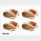 Sleepy Cat Ovale Sticker (Vel)