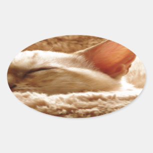 Sleepy Cat Ovale Sticker