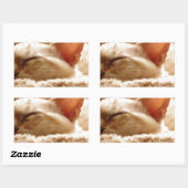 Sleepy Cat Rechthoekige Sticker (Vel)
