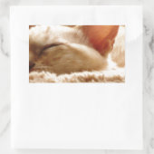 Sleepy Cat Rechthoekige Sticker (Tas)