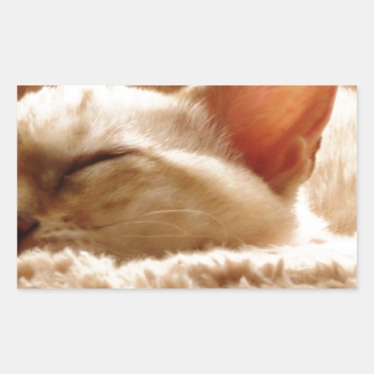 Sleepy Cat Rechthoekige Sticker (Voorkant)