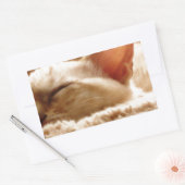 Sleepy Cat Rechthoekige Sticker (Envelop)