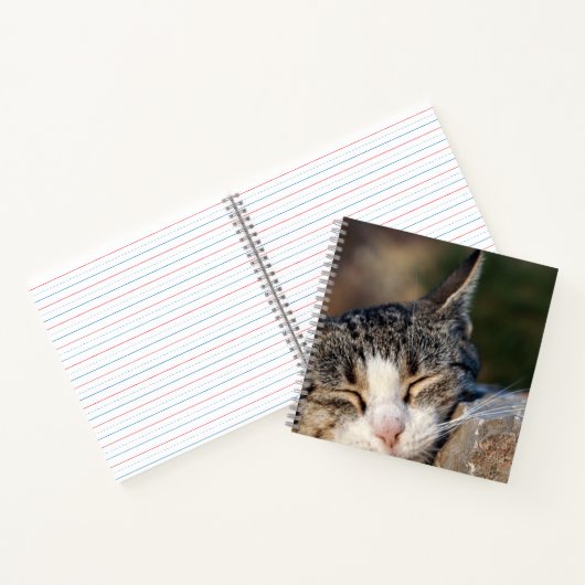 Sleepy Cat Spiral Notitieboek (Binnen)