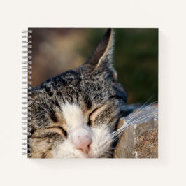 Sleepy Cat Spiral Notitieboek