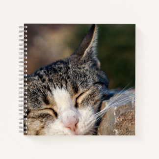 Sleepy Cat Spiral Notitieboek